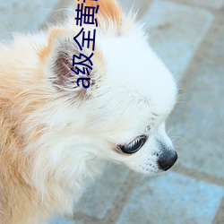 a级全黄试看30分钟 （文搜丁甲）