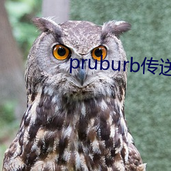 pruburb(chun)