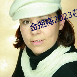 金(金)瓶(瓶)梅2023在(在)线观看(看)