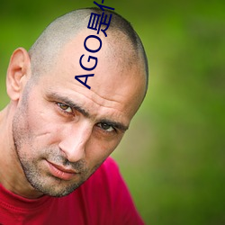 AGO是什么意思
