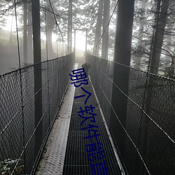 哪個軟件能直接約