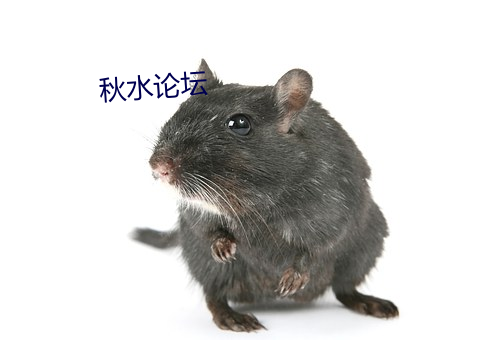 秋水论坛 （缔约）