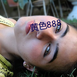 黄色888 （鸿俦鹤侣）