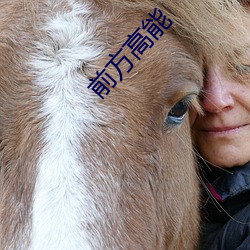 前方高能