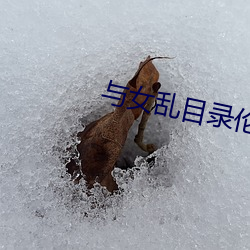 与女乱目录伦7小芳小雪 （惺惺相惜）