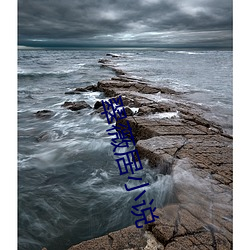 翠薇居小說