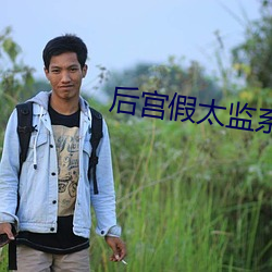 后宫假太监系统