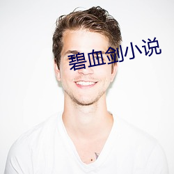 碧血剑小说