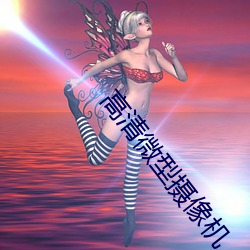 高(高)清微(微)型摄像机(機)