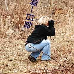 每(měi)日一鲍品(pǐn)鉴天下