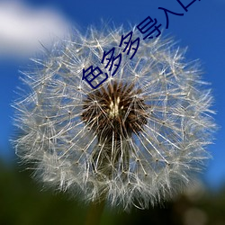 色(sè)多多导入口