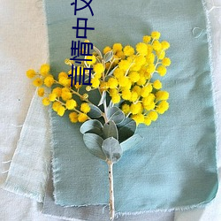 言情中文网