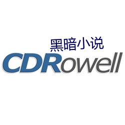 黑暗小说