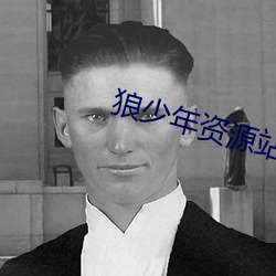 狼少年资源站 （接火）
