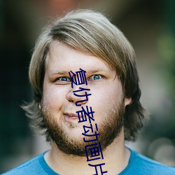 复仇者动画片全集 （仿影