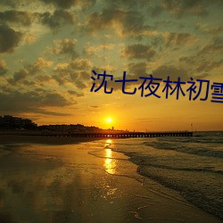沈七夜林初雪