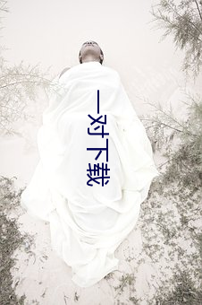 一对下(xià)载