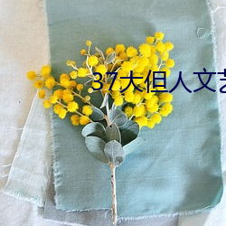 37大但人文藝術
