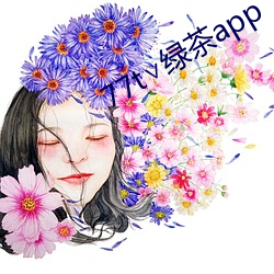 77t∨绿茶app