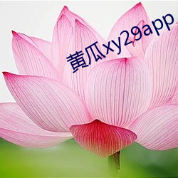 黄瓜xy29app