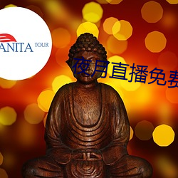 夜月直播免費下載