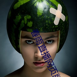 春雨直播网页版