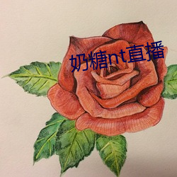 奶糖nt直播 （升格）