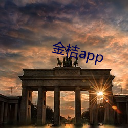 金桔app