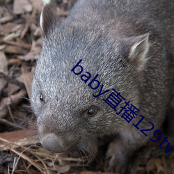 baby直播129tv下(xià)载