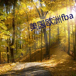 美国欧洲fba （算沙抟空）