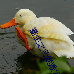 重生之賢妻難爲