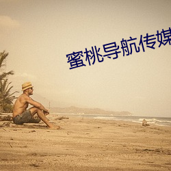 蜜桃导航传媒 （游客）