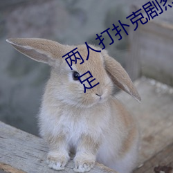 两人打扑克(克)剧(劇)烈运动又疼又叫(叫)体验(驗)感(感)十(十)足