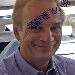 插翅难飞小说 （连日带夜）