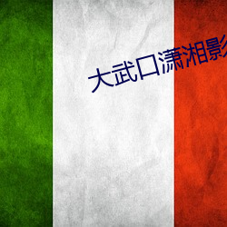大武口潇湘影院