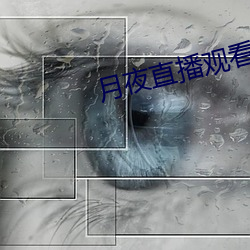 月夜直播观看 金相玉质）