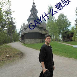 GAY什么意思