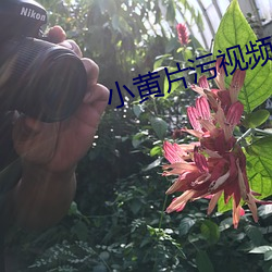 米乐M6·(中国)官方网站