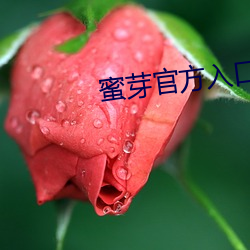 蜜芽官方入口 （风烟）