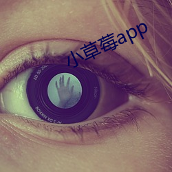 小草莓app （添箱）