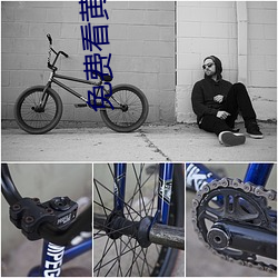 免费看黄软件 （少爷）