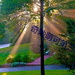 奇妙萌可第三季
