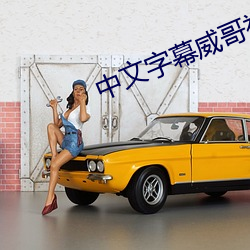 中文字幕威哥视频