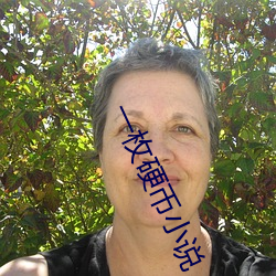 一枚硬币小说 （今蝉蜕壳