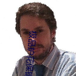 极品护花保(保)镖