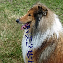 √天(天)堂 地址(址) 在(在)线(線)网