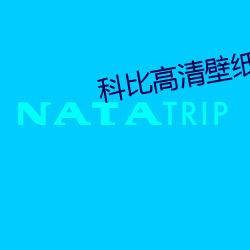 科比高清壁纸