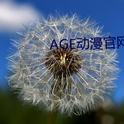 AGE动漫官网APP