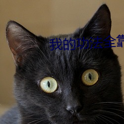 我的功法全靠(kào)捡