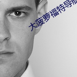 大菠蘿福特導航綠巨人